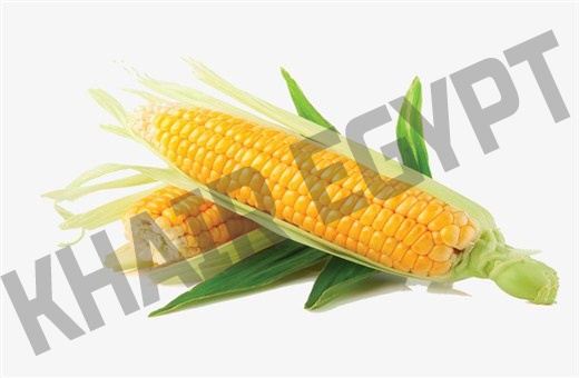 Sweet Corn Chart
